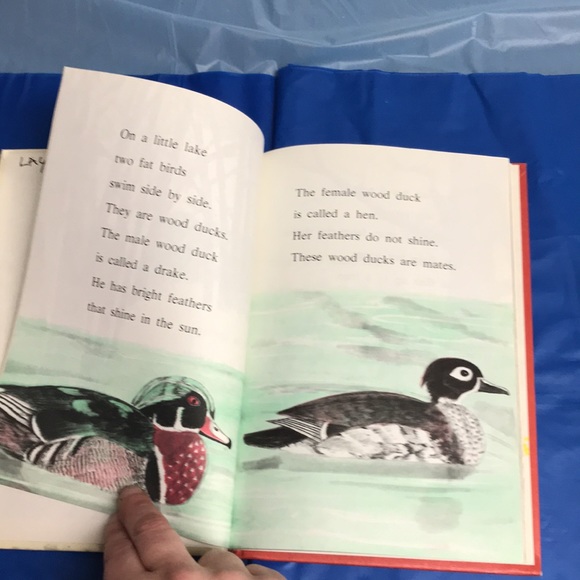 “A Nest of Wood Ducks” by Evelyn Shaw hardback - Picture 9 of 16